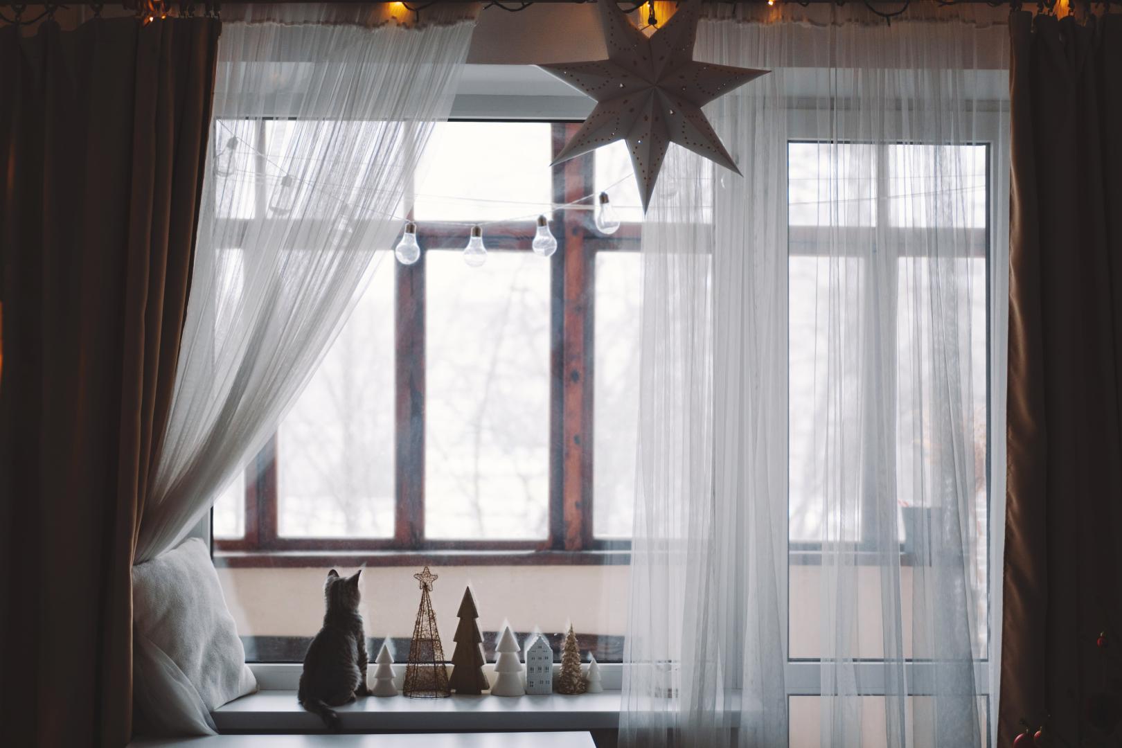 A window with a kitten and sheer curtains paired with blackout curtains.
