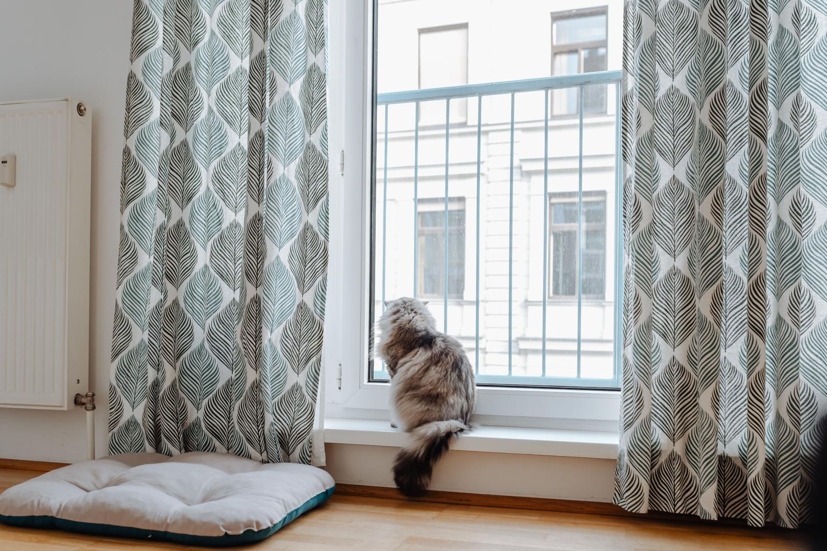 A cat sitting by a window with palm print curtains.