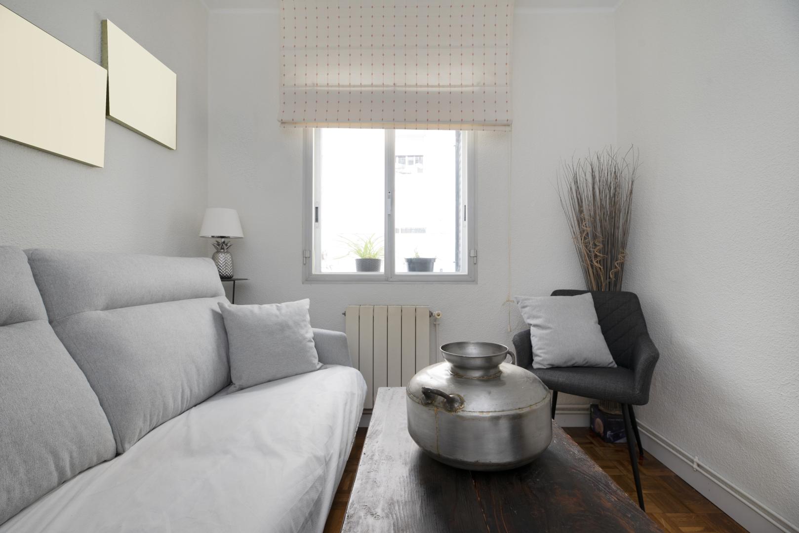 A living room with a gray couch and a window with a high-mounted shade.