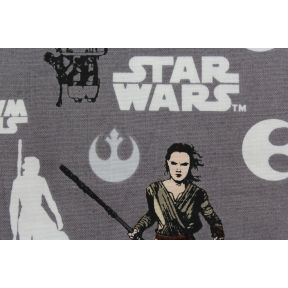 Star Wars The Force Awakens Rey Iron 02