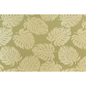 Bay Palm Palm 232