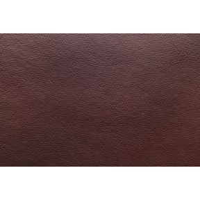Champion Burgundy