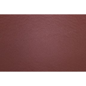 Champion Terracotta