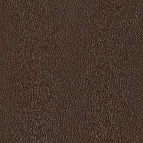 Cantina Cocoa Recycled Leather