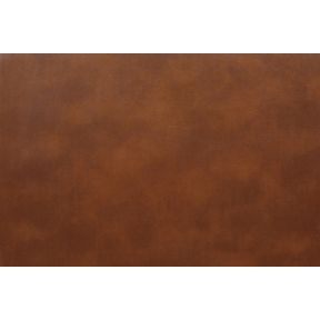 Cantina Saddle Recycled Leather