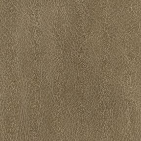 Cantina Molasses Recycled Leather
