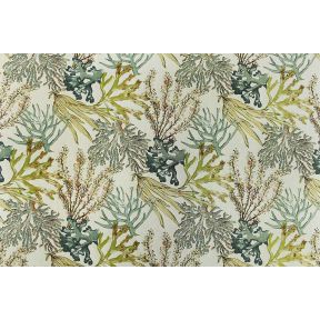 Coral Reef Caribbean