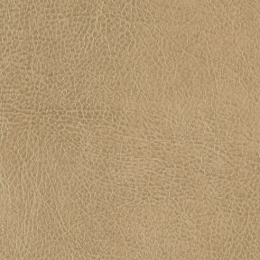 Cantina Peanut Recycled Leather
