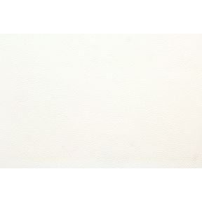Bronco White