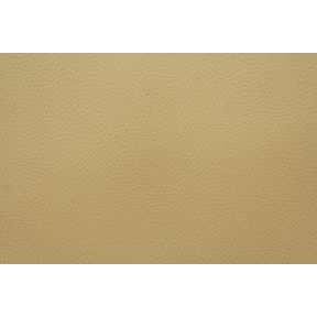 Bronco Beige

