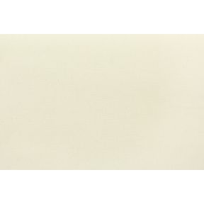 Aurora Artist Canvas