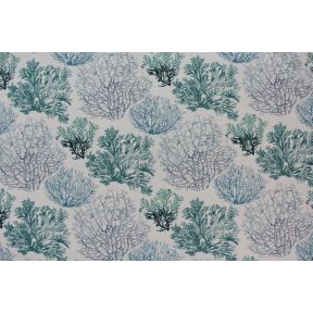 Corals 2731 DR-30