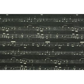 Stave Pentagrama DR MK55
