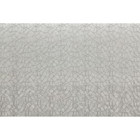 Neptune Gray Metallic
