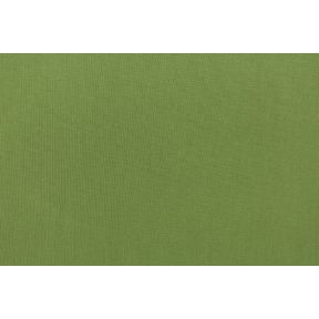 Sunbrella Spectrum Cilantro