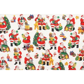 VIP Sant Claus Cut Outs 35.5" x 45"
