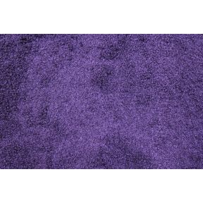 Llama Purple
