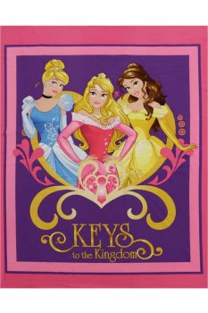 Disney Princess Panel 