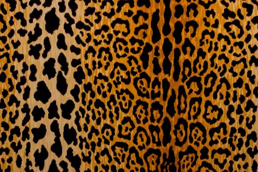 Leopard Print Fabric by the Yard | Animal Prints Fabric -The Fabric Mill