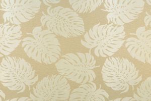 Bay Palm Shell 117
