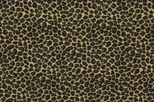 Spot Taupe
