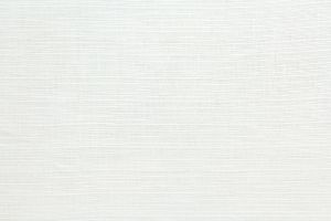 Linen Tussah White 