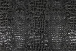 Crocodile Patent Black