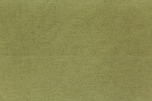 Caprice Kiwi