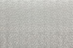 Neptune Gray Metallic
