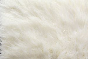 P Kaufmann Shaggy Alpaca