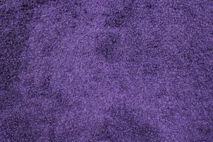 Llama Purple