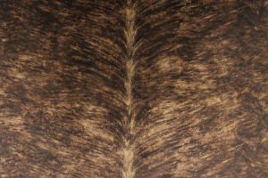 Roadhouse Chestnut