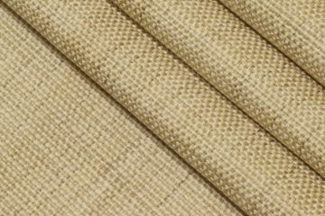 Sonny with Crypton Home Finish