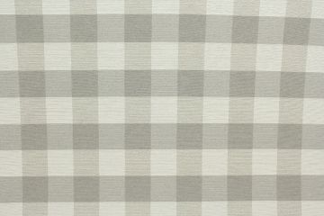 Boxer Fawn with Crypton Home Finish