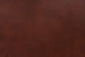 Cantina Recycled Leather