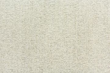 Wayfair Frost with Crypton Home Finish