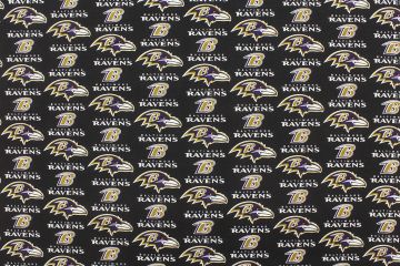 NFL National Ravens 6014-D