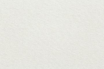 Revolution Terrier Bleach