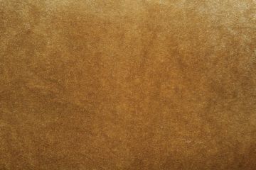 Velveteen 60 Inch Wide Gold