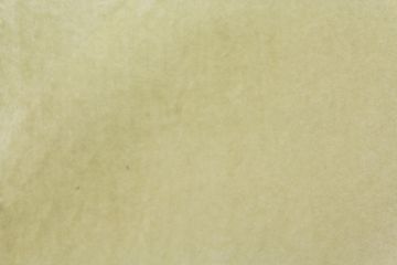 Velveteen 60 Inch Wide Cream