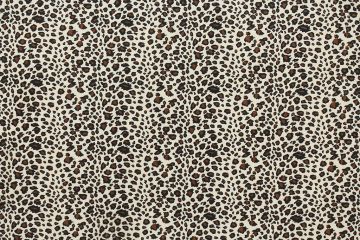 Cheetah Brown Bk