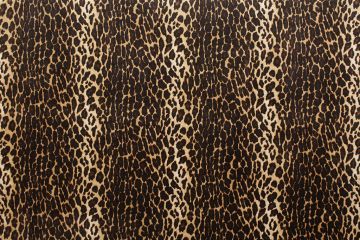 Leopard Brown