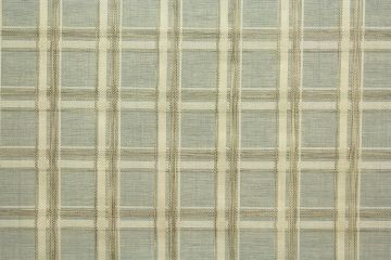 Swavelle Mill Creek Coverly Mineral
