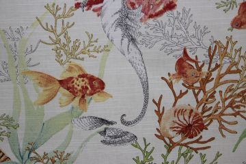 Coral Reef or Seaworld A 