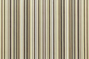 Tempotest Lido Stripe Black Beige 1038/81