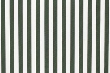 Tempotest Surfside Olive 51353/16