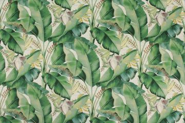 Waverly Among Fronds Tommy Bahama Aloe