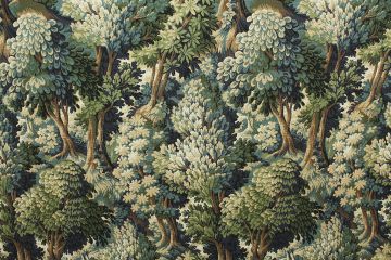 P Kaufmann Into the Woods Forest