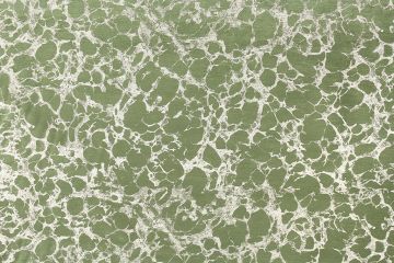 P Kaufmann Caro Lichen