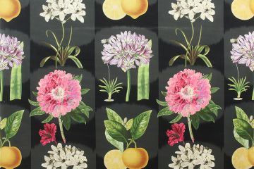 P Kaufmann Le Printemps Onyx